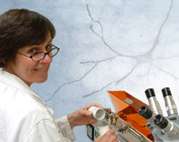 Dr Heinricher