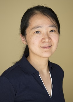 Ying Li