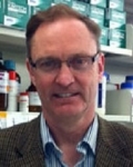 David W. Courtman, Ph.D.