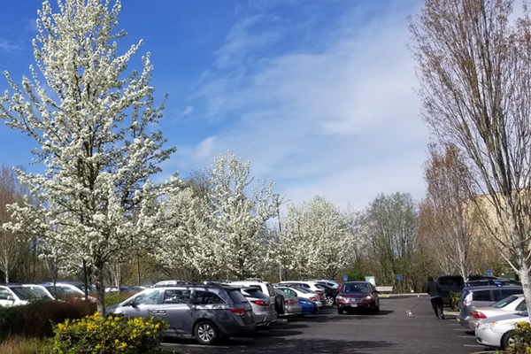 Parking Lot 10
