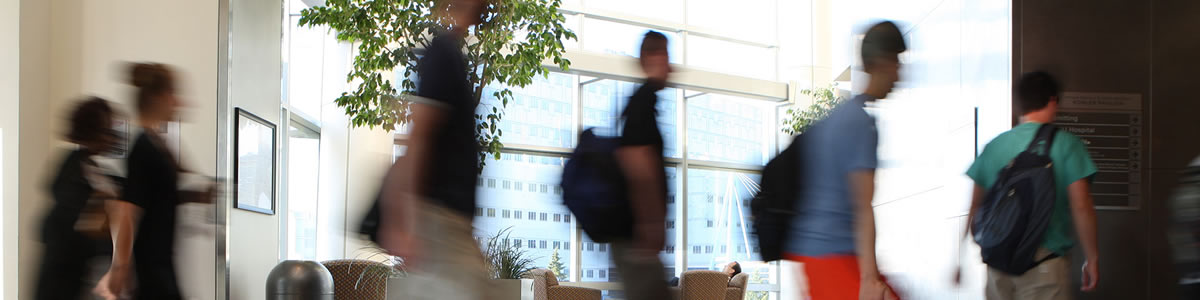 fellowship banner image of students walking to class