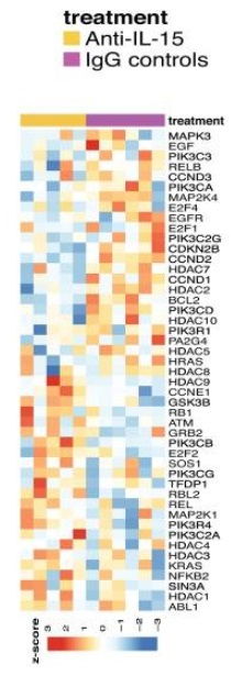 Module 2 cell cycle progression