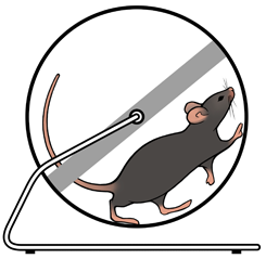 Cartoon mouse in a running wheel