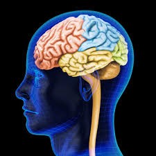 Compensatory Cognitive Training Research Program (CCTRP)