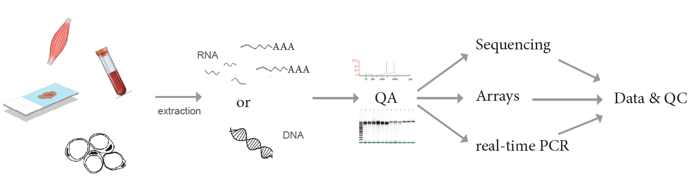 Integrated Genomics Laboratory Workflow Diagram