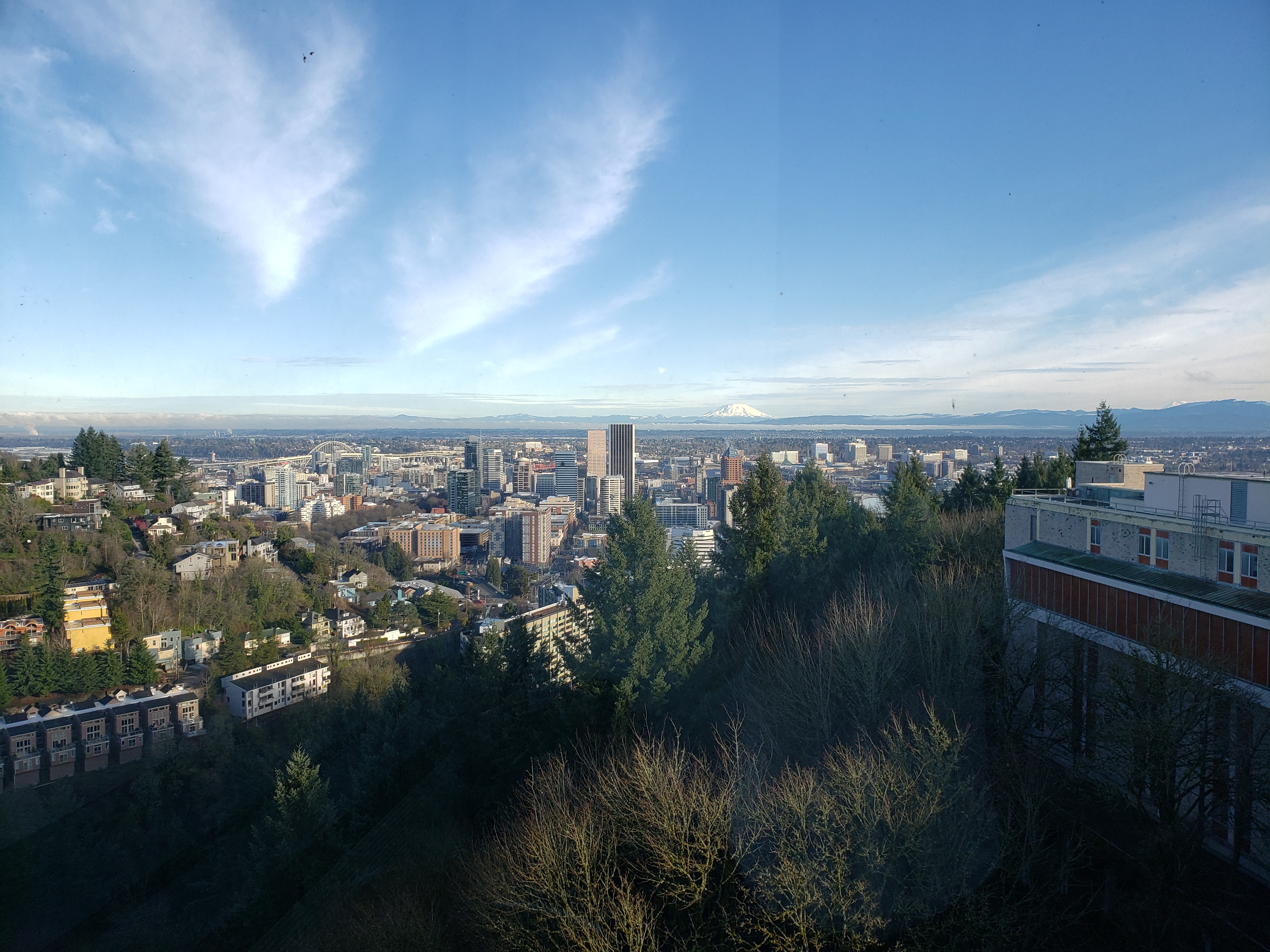 View from 4th floor of Lamfrom Biomedical Research Building 