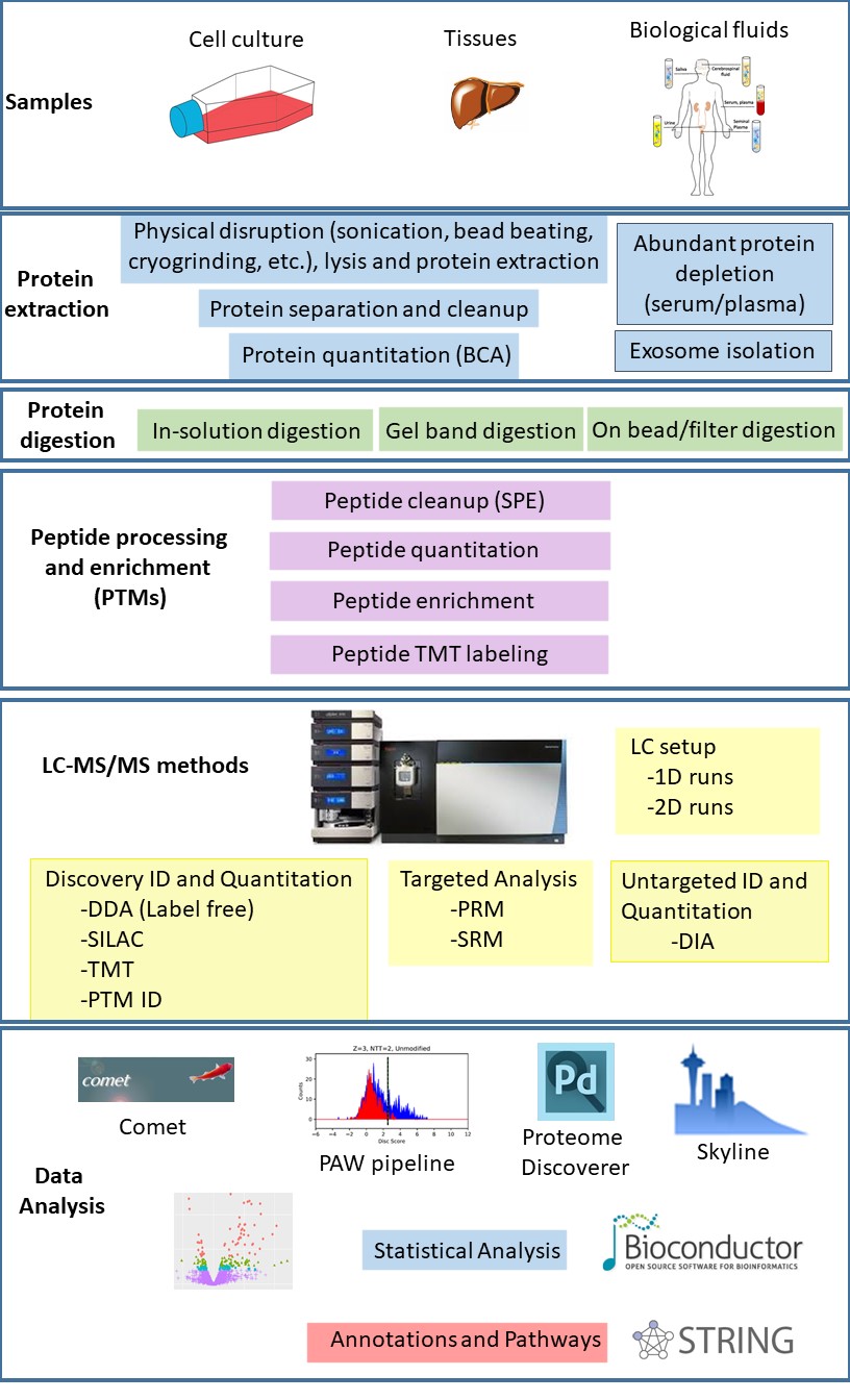 PSR workflow single slide
