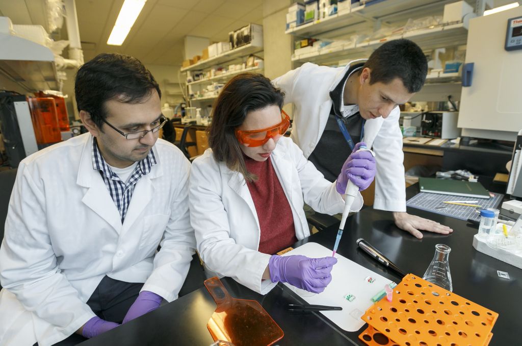 Dr. Cristiane Miranda Franca works on Tooth-on-a-Chip technology in the Bertassoni Lab