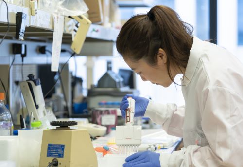 researcher in lab, doing pipetting