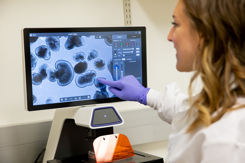 Female scientist in white lab coat points to a screen showing cells visible under a microscope.