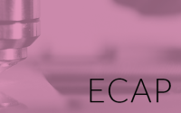 Logo for the School of Medicine Early Career advancement Program.