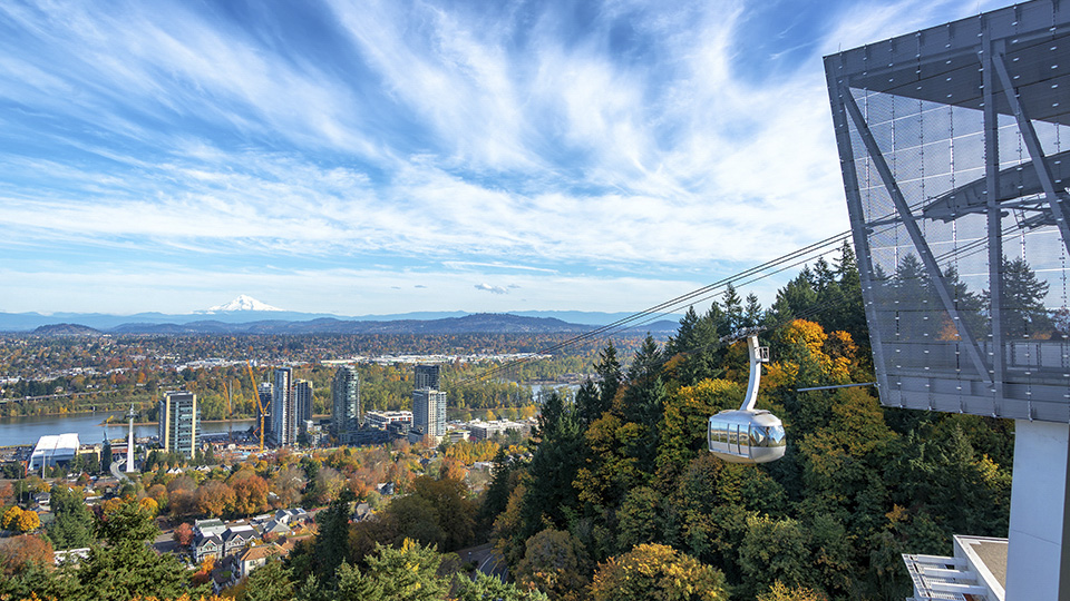 OHSU 