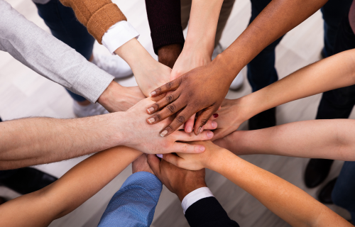 diversity