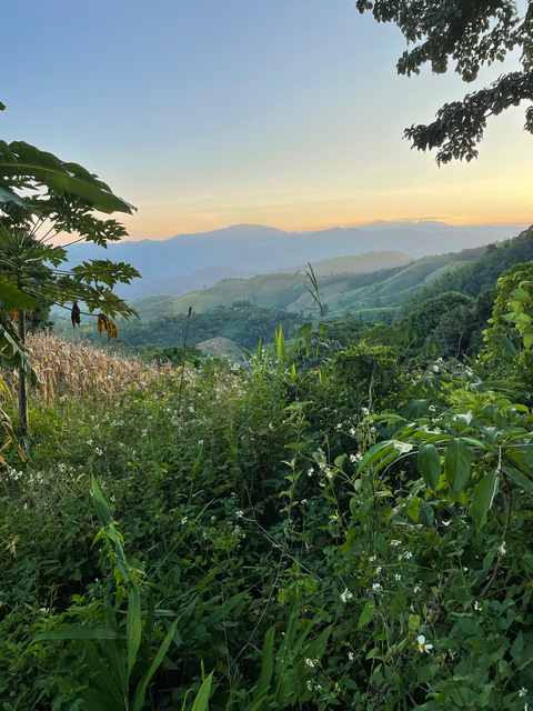OHSU Global southeast Asia website