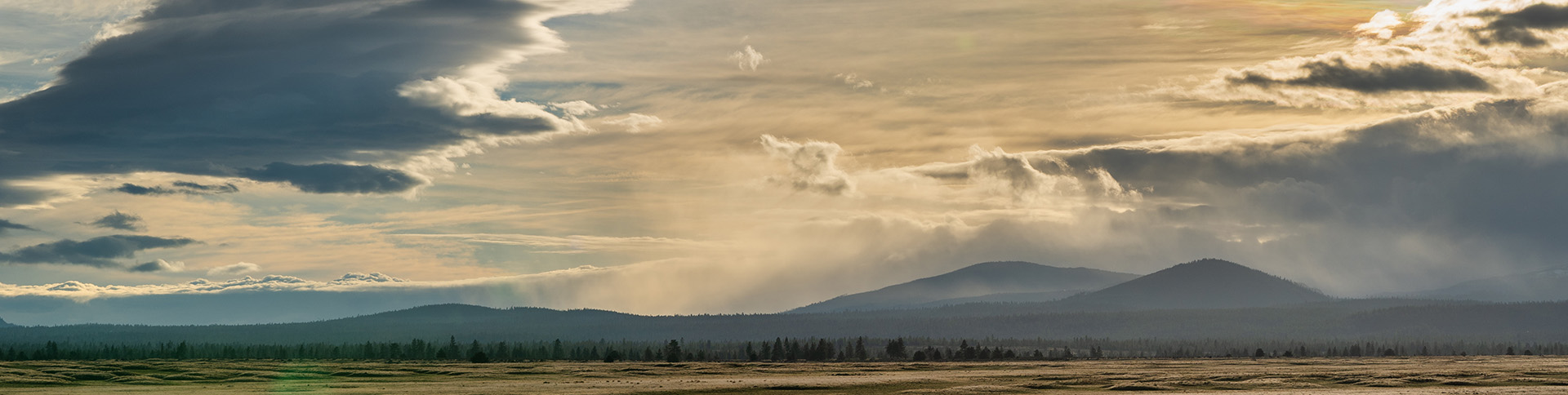 Or desert plains