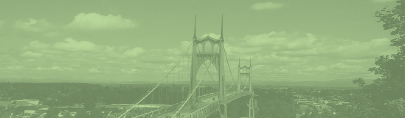 Banner for the P&T Peer Mentorship program showing the St. John's Bridge.
