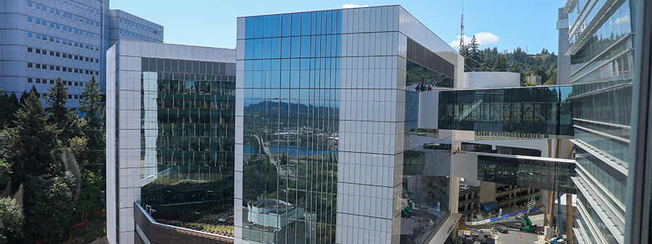 A 14-story, V-shaped building with skybridges connecting it to an adjacent building.