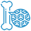 icon of a dexa scan