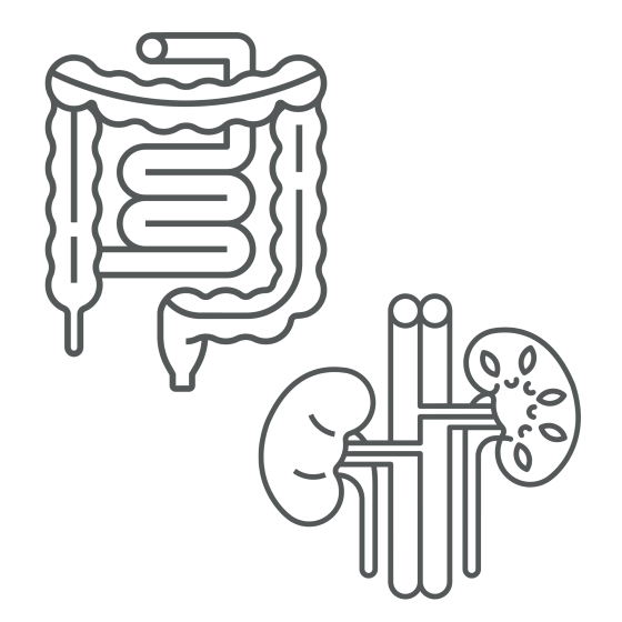 Body Fellowship