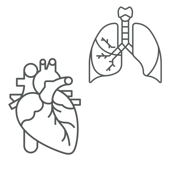 Cardiothoracic Fellowship