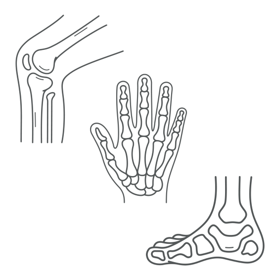 MSK Fellowship