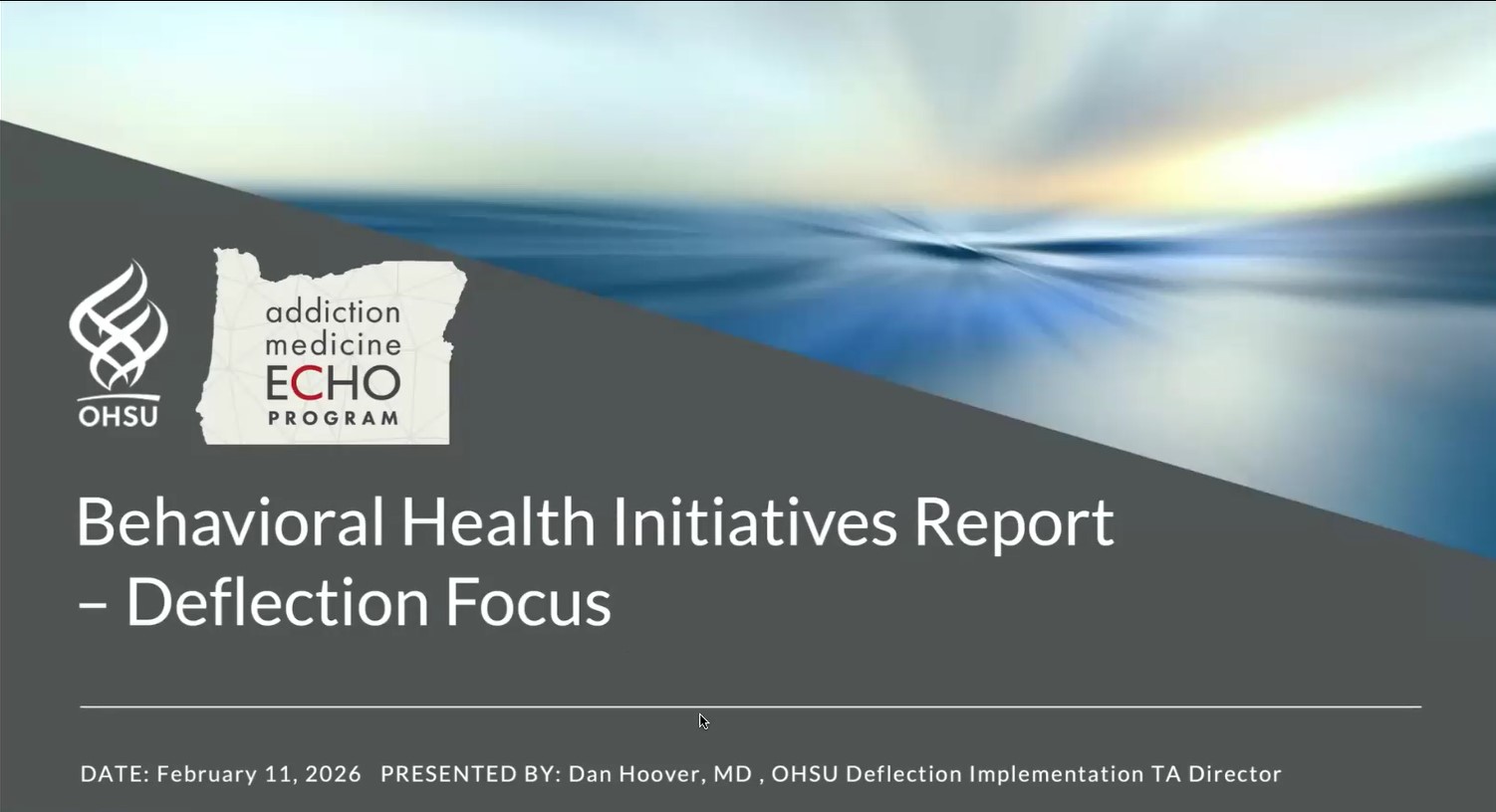 Behavioral Health Initiatives Report cover slide