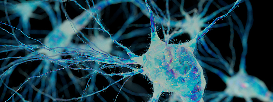 Long axons stretch between glowing neurons in this microscopic view of brain