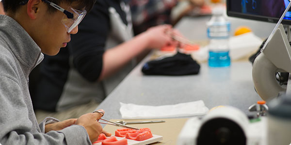 A Dental Explorers student practices suturing.