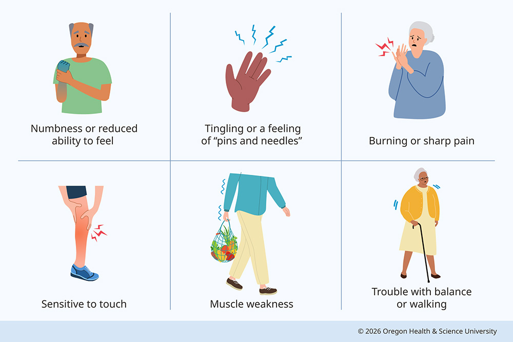 An illustration shows common symptoms of peripheral neuropathies: numbness or reduced ability to feel; tingling or a feeling of “pins and needles”; burning or sharp pain; very sensitive to touch; muscle weakness; trouble with balance or walking.